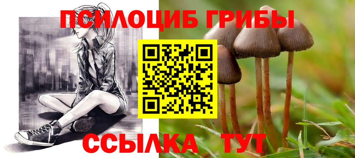 Псилоцибиновые грибы мицелий Асбест